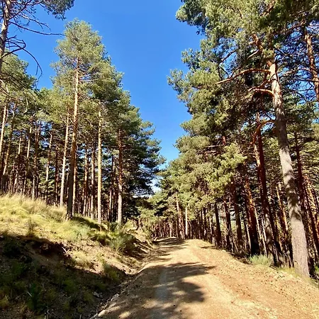 El Rincon Del Corneja *